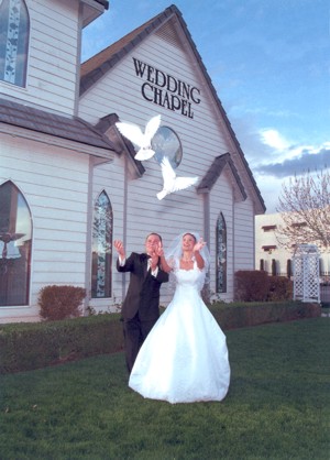 white dove release by wedding couple