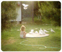 Toddler plays with doves in bird bath in back yard