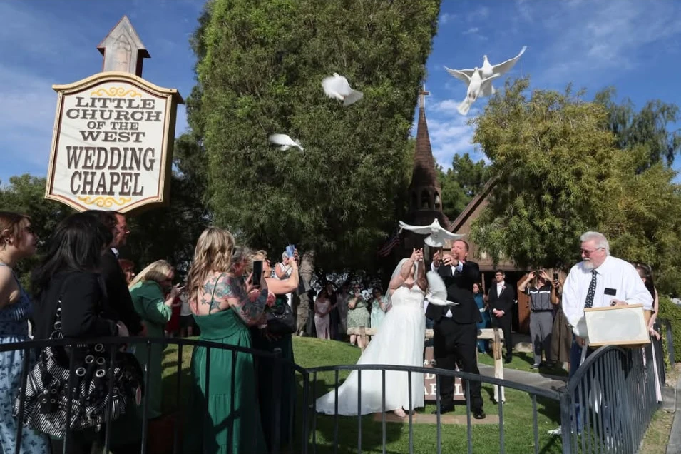 Bride and groom release doves at their wedding